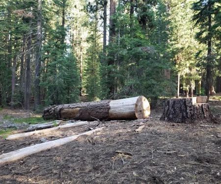 ASPEN GROUP (TAHOE) (recgovnpsdata)