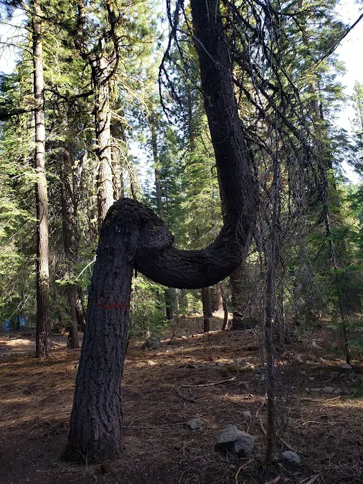 ASPEN GROUP (TAHOE) (recgovnpsdata) Picture 6