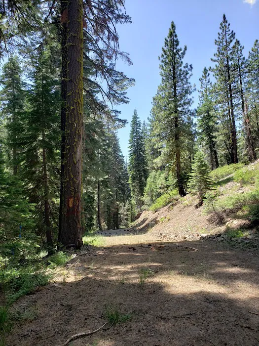 ASPEN GROUP (TAHOE) (recgovnpsdata) Picture 5