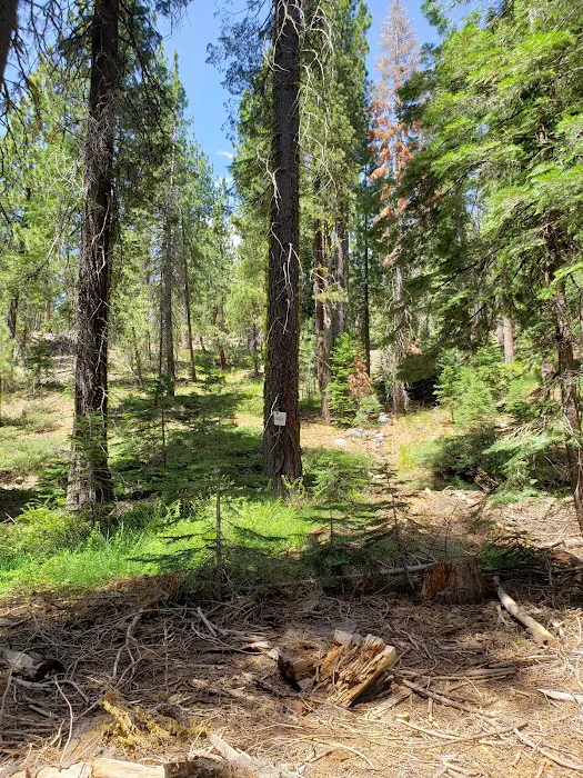 ASPEN GROUP (TAHOE) (recgovnpsdata) Picture 9