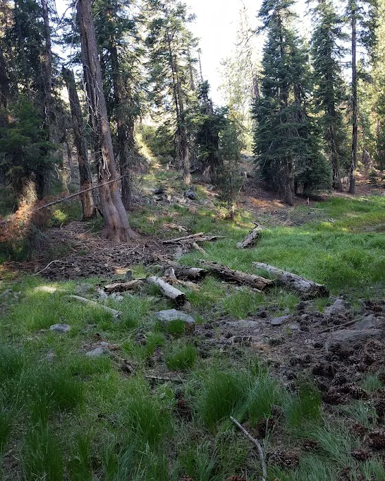 ASPEN GROUP (TAHOE) (recgovnpsdata) Picture 10