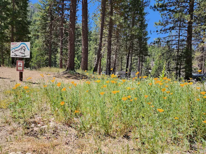 China Flat Campground Picture 7