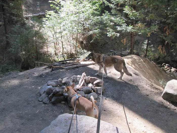 Gray Rock Campground Picture 2