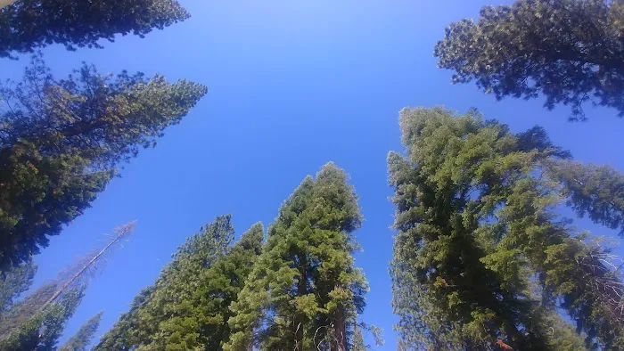 Gray Rock Campground Picture 5