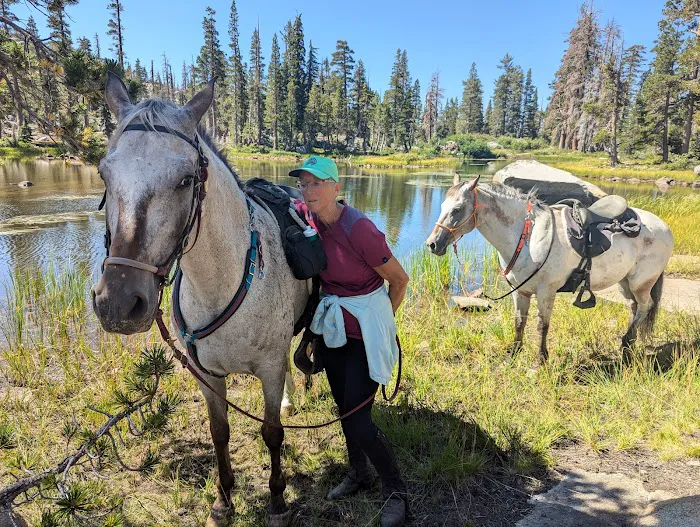 Wrights Lake Equestrian Camp Picture 3