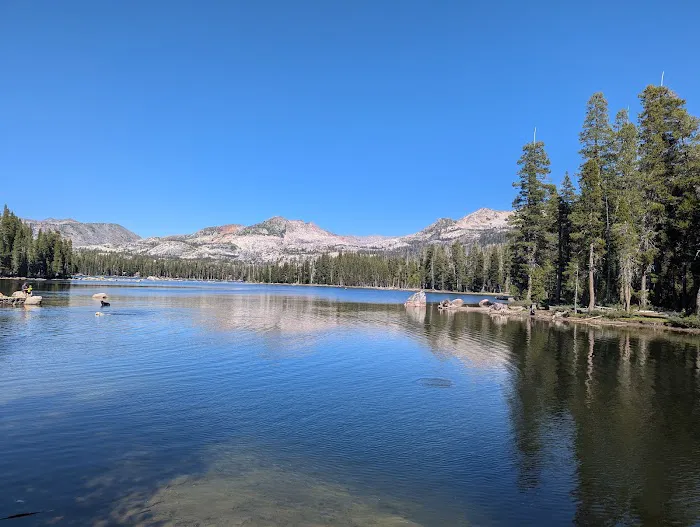 Wrights Lake Equestrian Camp Picture 1
