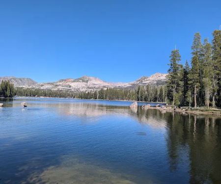 Wrights Lake Equestrian Camp