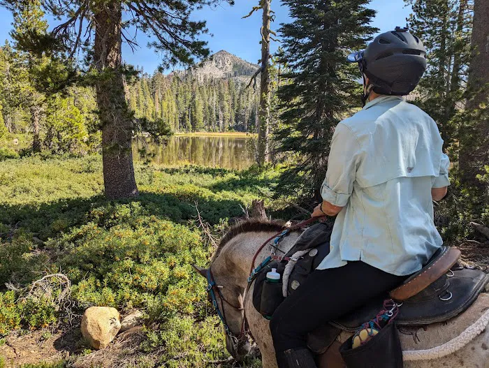 Wrights Lake Equestrian Camp Picture 2