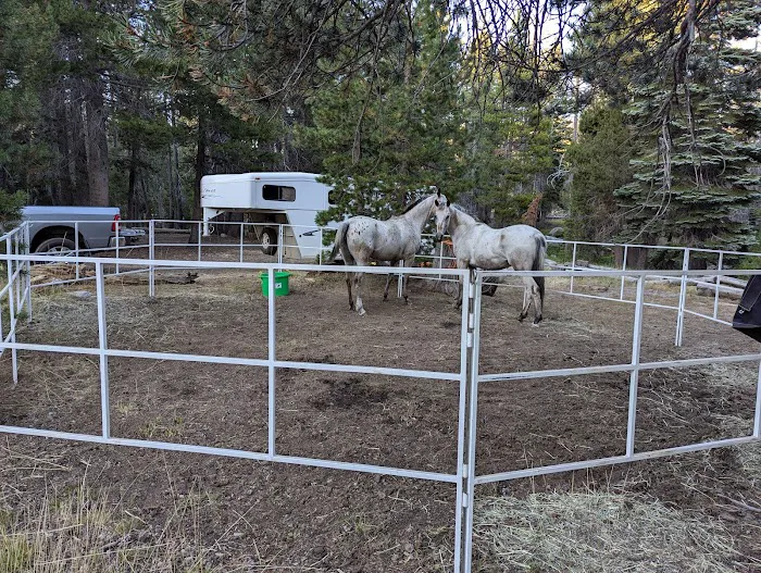 Wrights Lake Equestrian Camp Picture 6