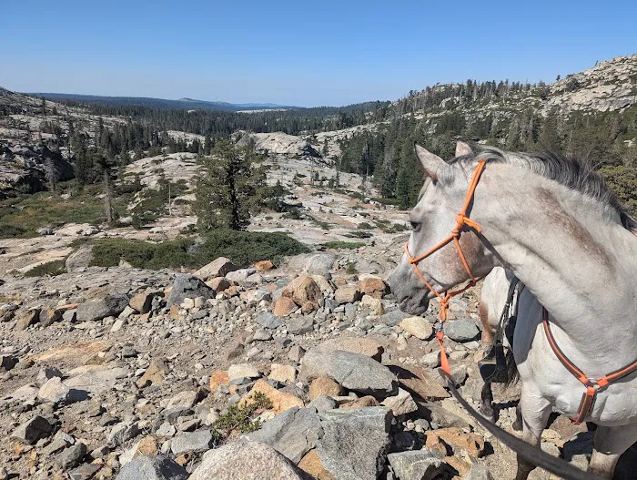 Wrights Lake Equestrian Camp Picture 4