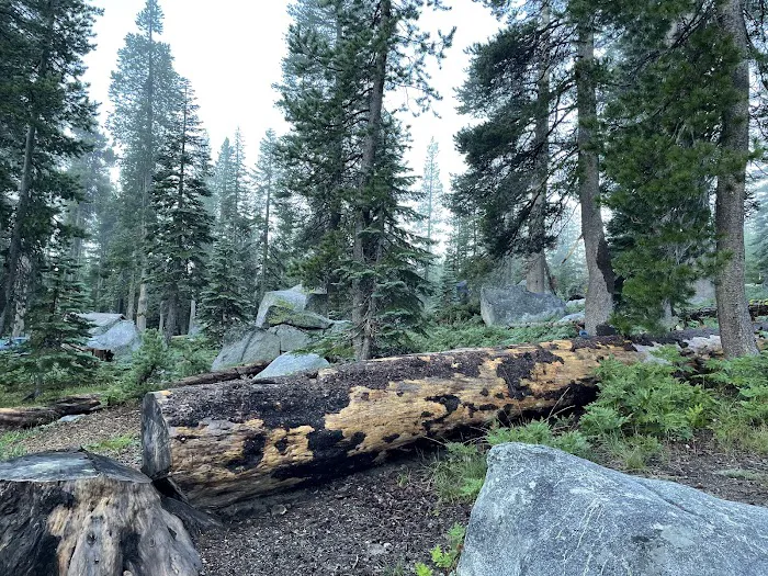 Wrights Lake Campground Picture 3