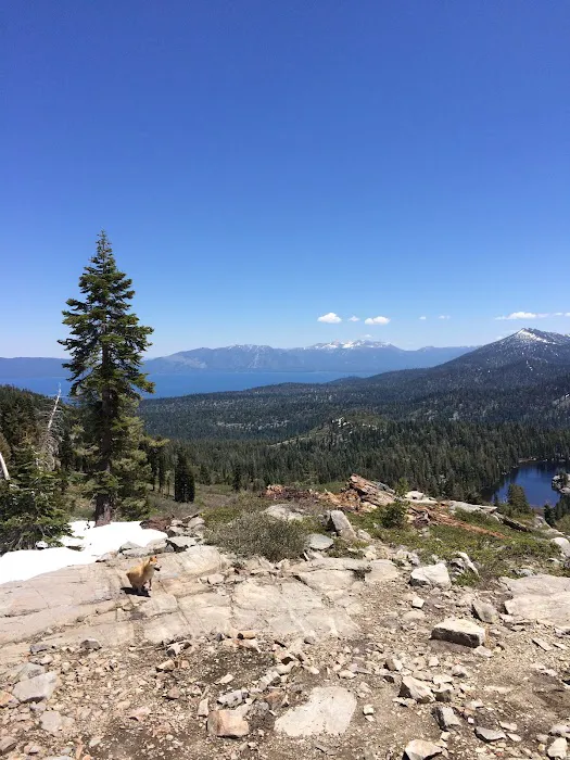 McKinney/Rubicon Trailhead Picture 1