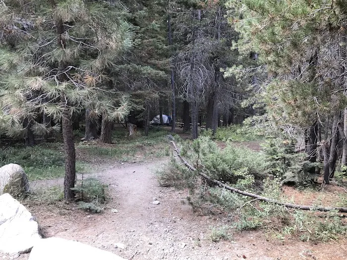 Blackwood Canyon OHV Staging Area Picture 7