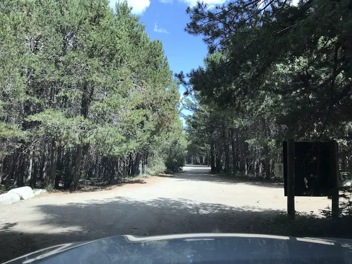 Blackwood Canyon OHV Staging Area Picture 9