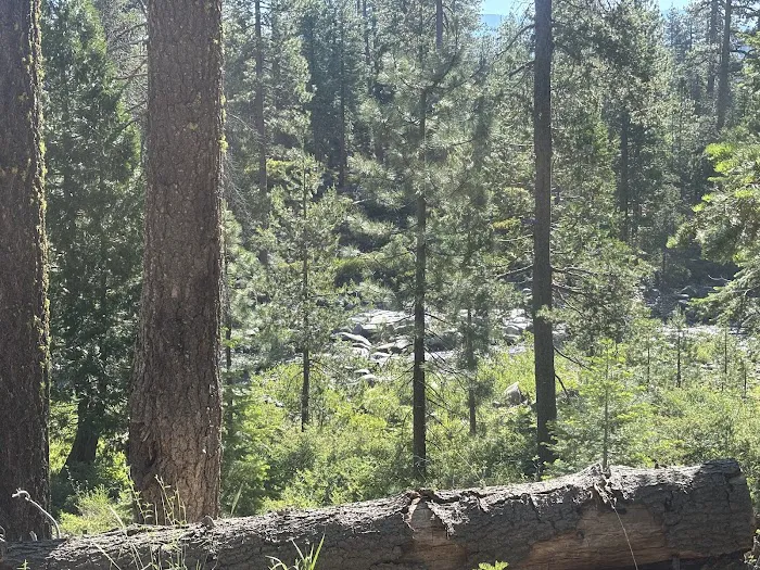 Lewis Campground Picture 7