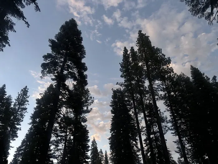Lewis Campground Picture 6