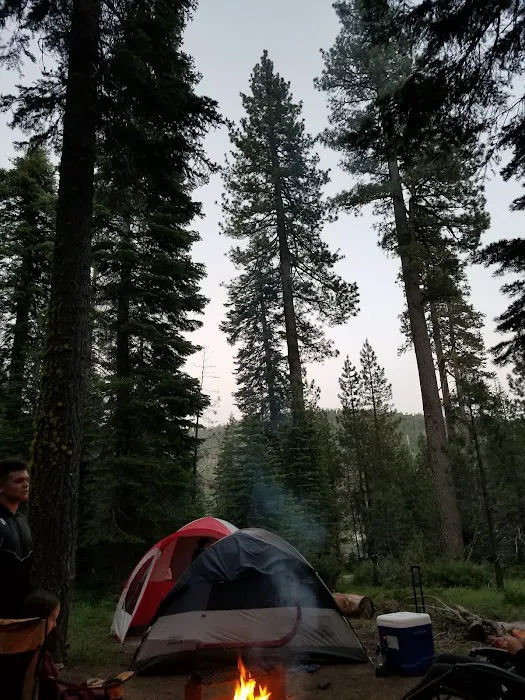 Lewis Campground Picture 9