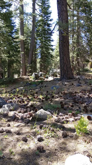 Black Bear Campground Picture 4