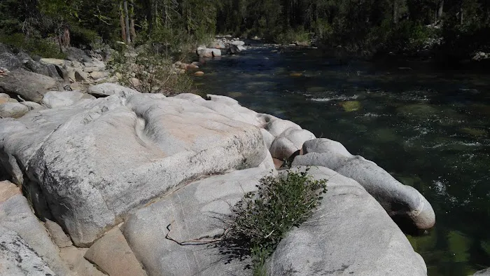 Black Bear Campground Picture 1