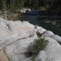 Black Bear Campground ico