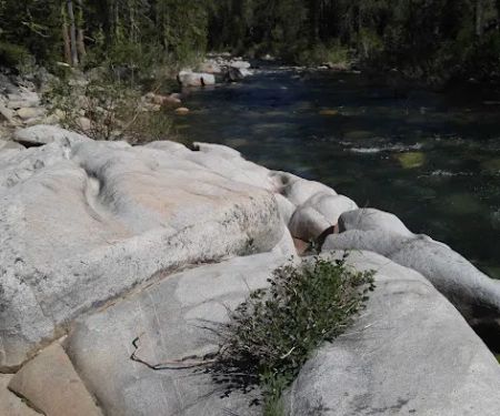 Black Bear Campground