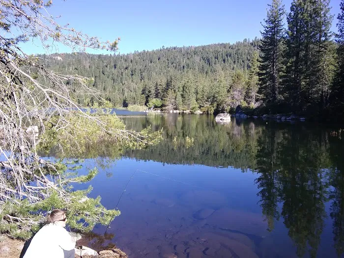 Black Bear Campground Picture 3