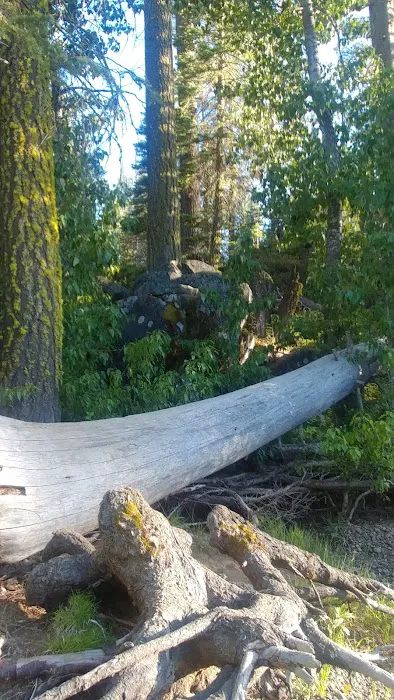 Black Bear Campground Picture 9