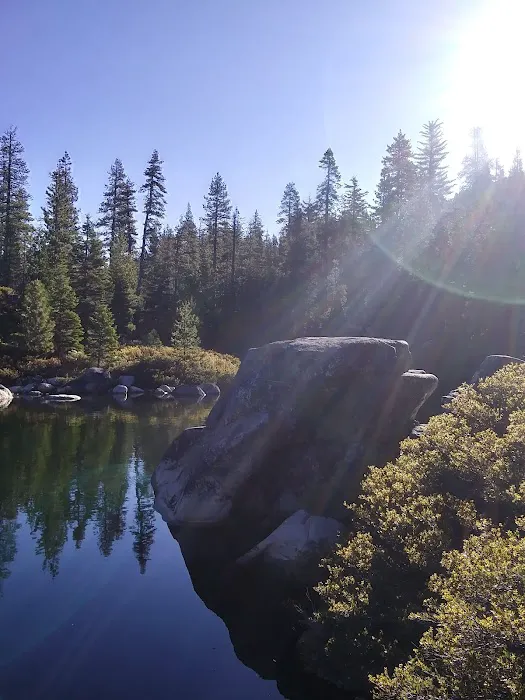 Black Bear Campground Picture 7