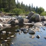 Coyote Group Campground
