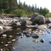 Coyote Group Campground ico