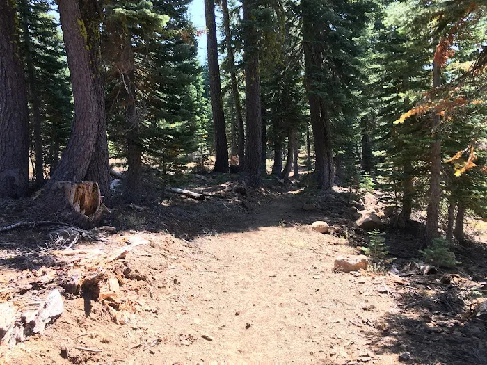 Coyote Group Campground Picture 5