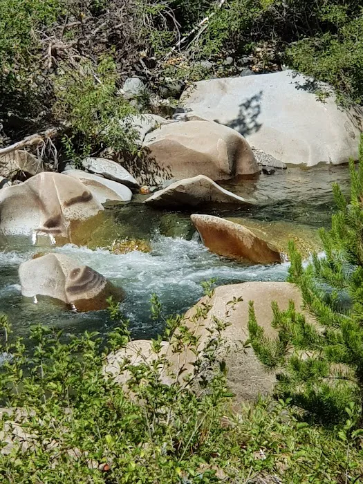 Gates Group Campground Picture 5