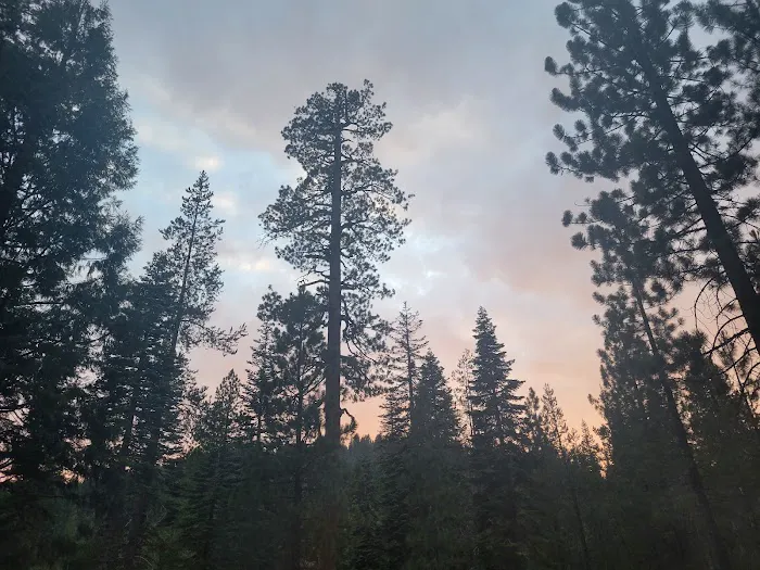 Gates Group Campground Picture 3