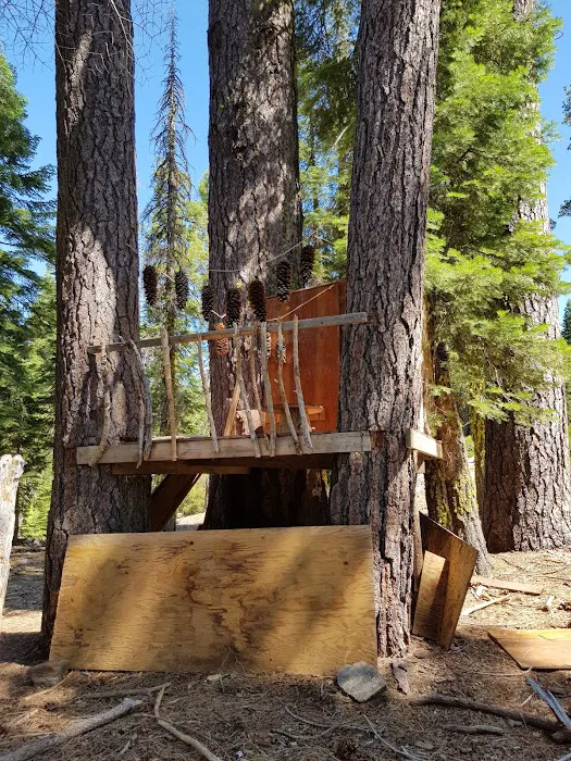 Gates Group Campground Picture 9