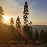 Robinsons Flat Campground ico