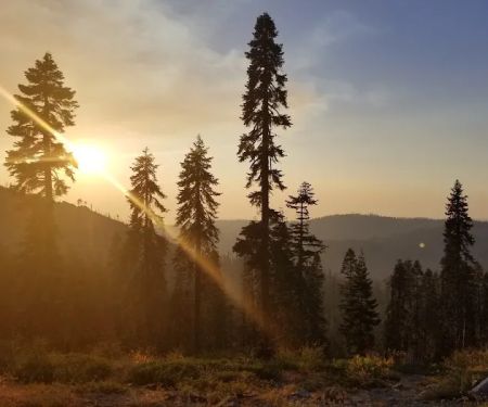 Robinsons Flat Campground