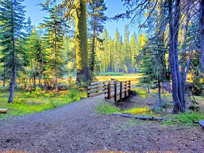 Robinsons Flat Campground Picture 3