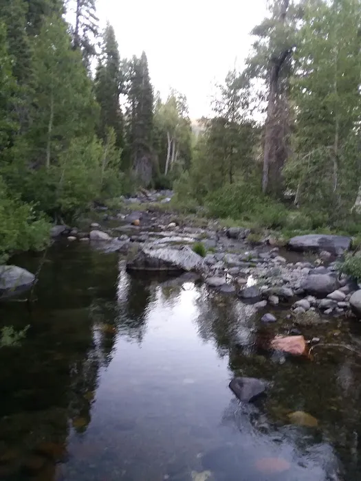 Talbot Campground Picture 2