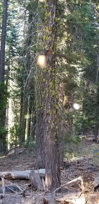Talbot Campground Picture 5