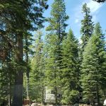 General Creek Campground