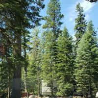 General Creek Campground ico
