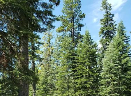 General Creek Campground