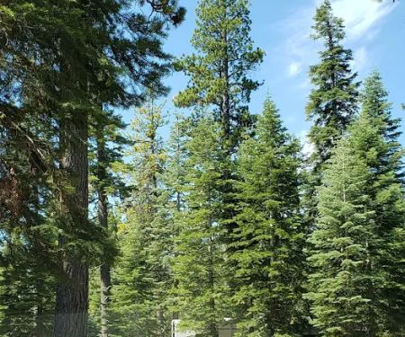 General Creek Campground