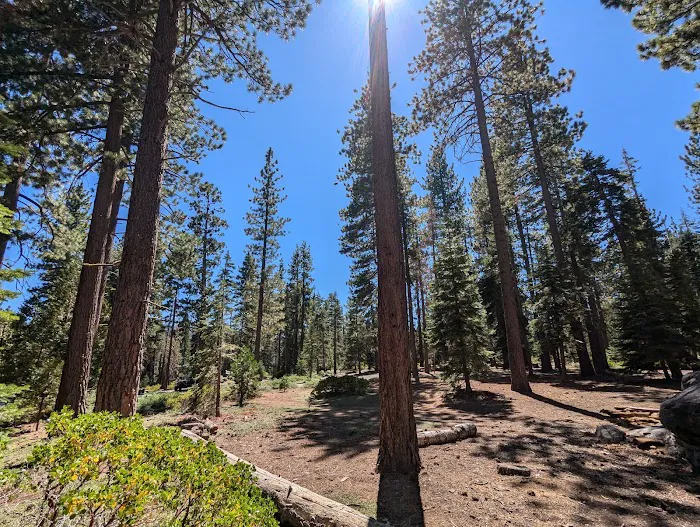 General Creek Campground Picture 2