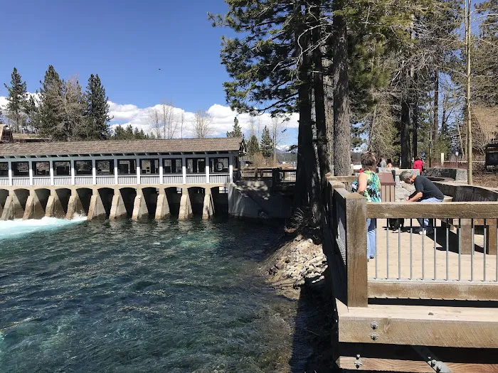 Sugar Pine Point Campground Picture 9