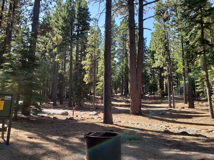 D.L. Bliss Lower Pines Campground Picture 7