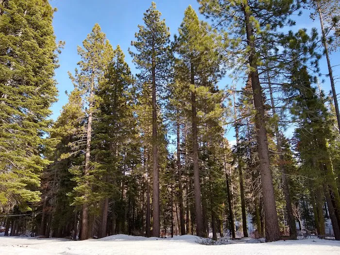 Kaspian Recreation Area Picture 5