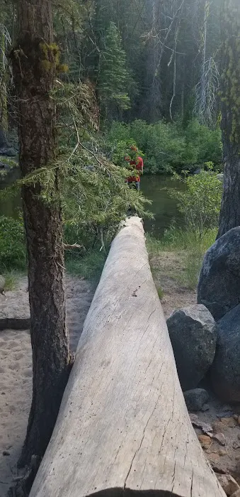 Silver Fork Campground Picture 4