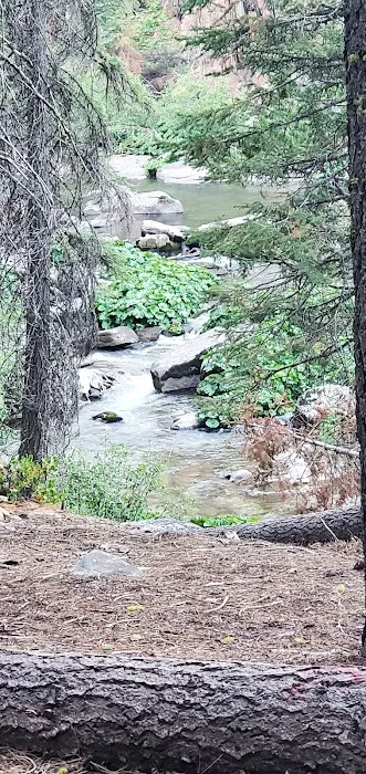 Silver Fork Campground Picture 10