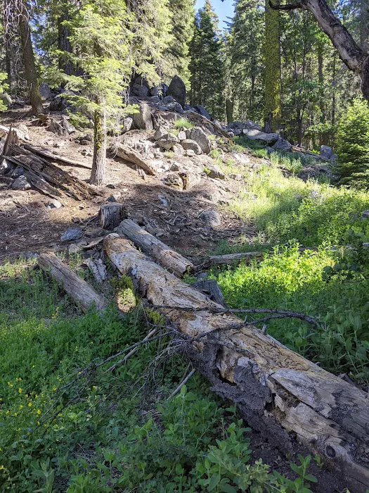 Breckenridge Campground Picture 4